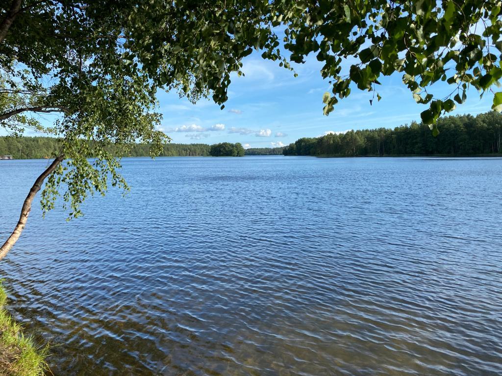 Купить Дачу Орехово Северное